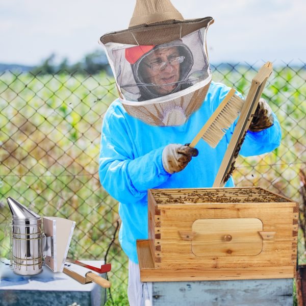 Bee Hive Box Starter Kit - 8-Frame - Image 6